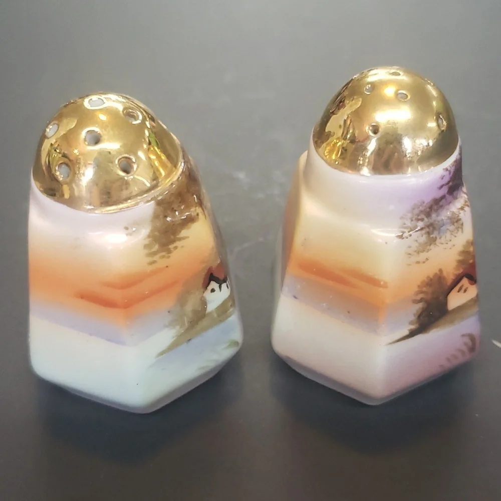 Vintage Made in Japan Handpainted Salt and Pepper Shakers